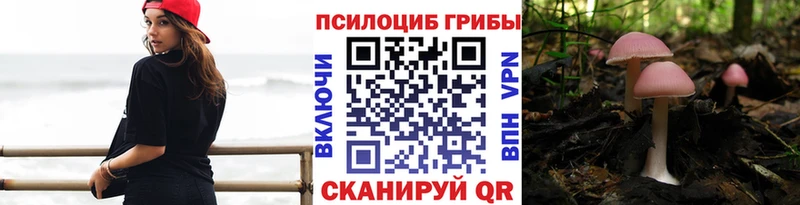 купить наркоту Берёзовский Галлюциногенные грибы ЛСД